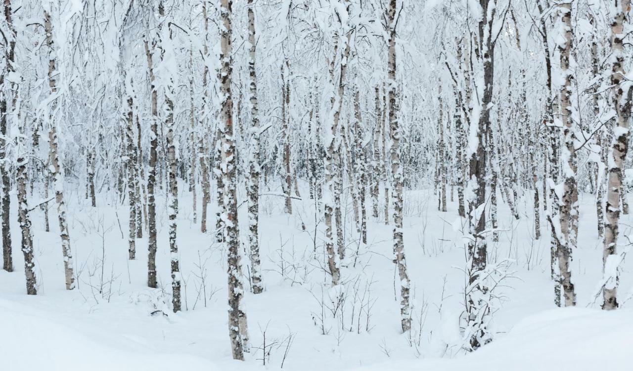 Terra Ultima Villa Rovaniemi Buitenkant foto