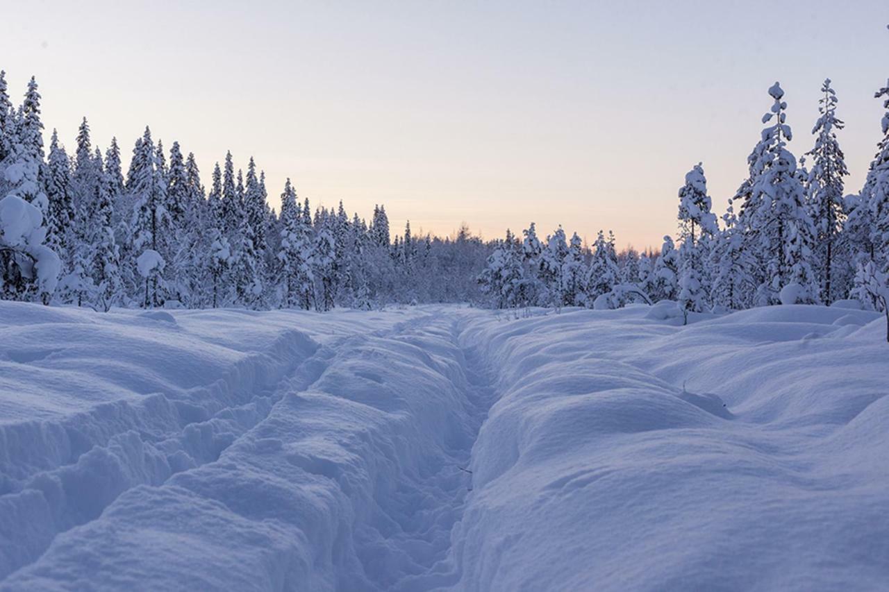 Terra Ultima Villa Rovaniemi Buitenkant foto