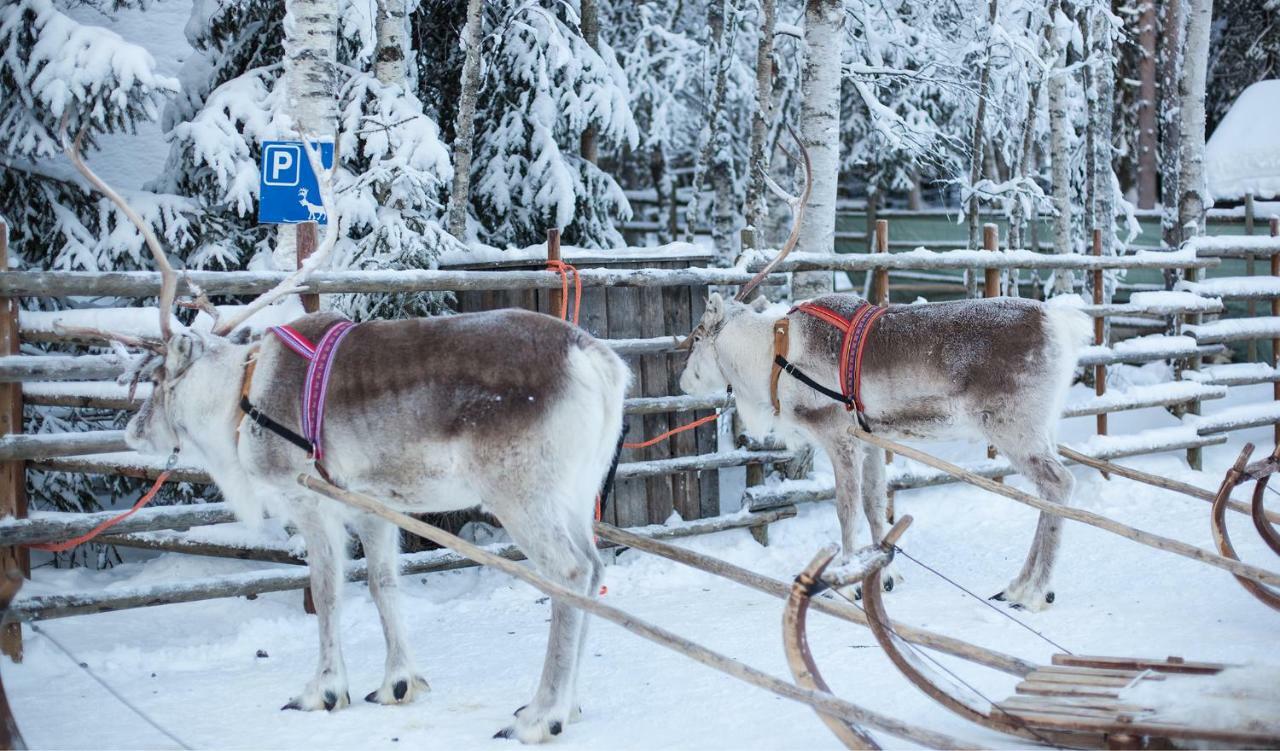 Terra Ultima Villa Rovaniemi Buitenkant foto