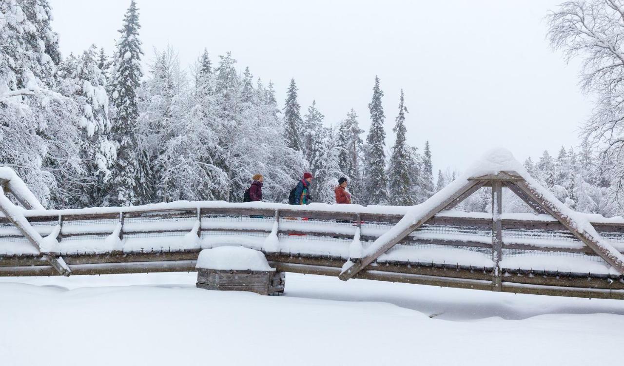 Terra Ultima Villa Rovaniemi Buitenkant foto